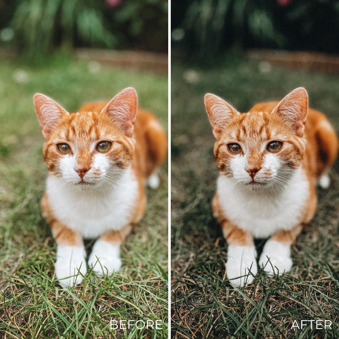 Deluxe Presets| Geef je foto's een luxe uitstraling