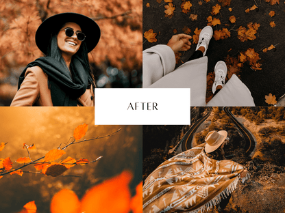 Autumn video LUT's: Geef je video's een warme, herfstachtige look