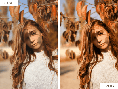 Autumn video LUT's: Geef je video's een warme, herfstachtige look